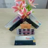 Pasonex – পেসোনেক্স